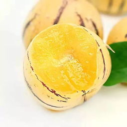 霍山公園農副產品展銷 優質特產一站式購