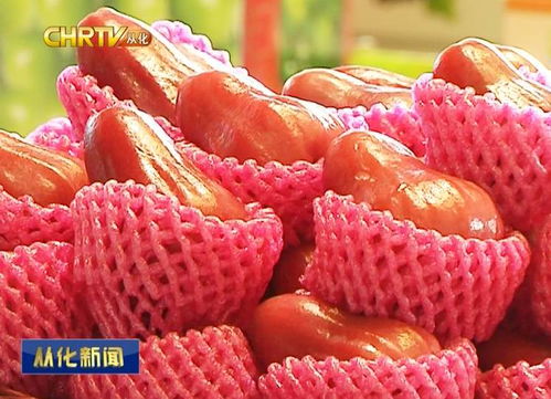 京東中國特產·從化館盛大開幕，優質農副產品添新銷售渠道