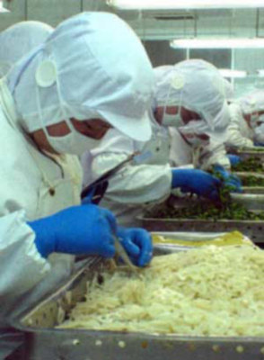 山東農(nóng)副產(chǎn)品出口大幅增長(zhǎng)，優(yōu)質(zhì)特色產(chǎn)品走俏國(guó)際市場(chǎng)