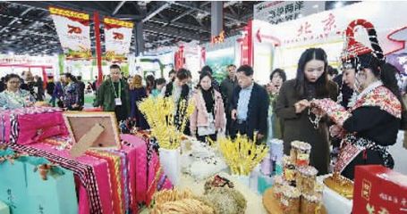 農業盛宴 第十七屆中國國際農產品交易會盛大開幕，五大亮點引領行業新風向